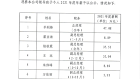 关于上海嘉定综合保税区发展有限公司领导班子个人2021年度年薪的公示