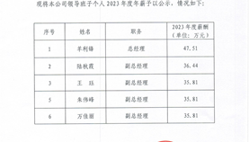 关于上海嘉定综合保税区发展有限公司领导班子个人2023年度年薪的公示