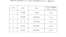 关于上海嘉定综合保税区发展有限公司领导班子个人2022年度年薪的公示