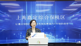 1.7万人观看！CDI大观园嘉定综保区专场干货满满