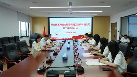 青春接力担使命 挺膺奋进启新程 综保区公司团支部圆满完成换届选举工作
