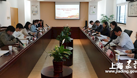 上海嘉定出口加工区发展有限公司成立团支部