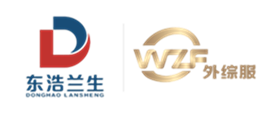 上海外综服电子商务有限公司